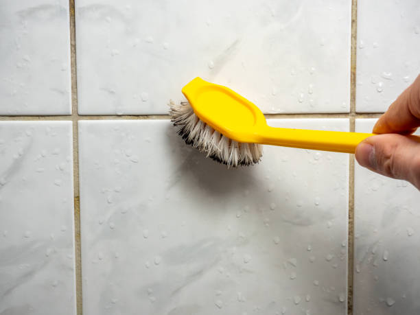 Best Mold Testing  in Langley, WA