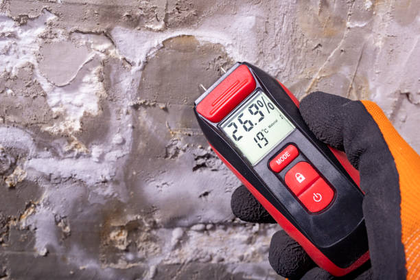 Best Residential Mold Removal  in Langley, WA