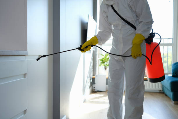 Best Toxic Mold Removal  in Langley, WA
