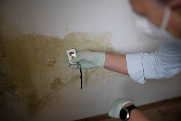 Best Mold Testing  in Langley, WA